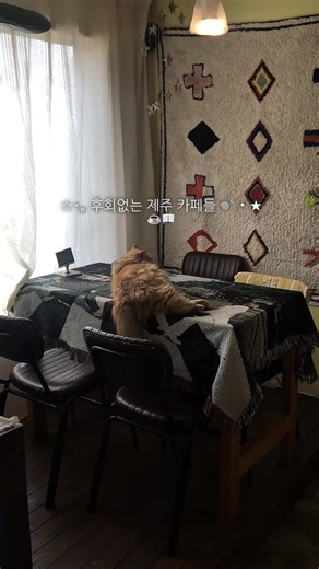 제주 감성 카페 여행 추천 리스트