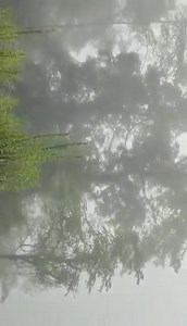 13K views · 246 reactions | Road block at Namling, Mongar Bumthang highway today. Buses and other vehicles stranded. | Hello Bhutan | Facebook