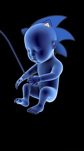 8.6K views · 37 reactions | The Sonic Hedgehog protein literally shaped you into who you are today. Here's how it works. | Popular Science | Facebook