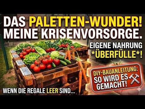 DIY Hochbeet aus Paletten bauen 🛠️ Meine Krisenvorsorge für EIGENE Nahrung! (Bauanleitung)