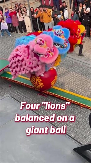 These acrobatic performers see crowds with their balance and precision! #LionDance #FunChina 🎉✨