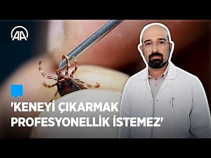 Kene nasıl çıkarılmalı?