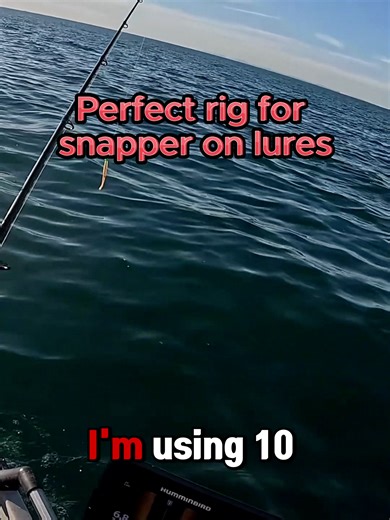 Snapper lure rig = simple, clean, deadly. Atomic Linez 10lb braid for sensitivity, Atomic Seekerz 1/8 3/0 jighead for the perfect sink rate, and a Plazos Jerk Minnow in Radioactive Rooster to seal the deal. Rig it straight, send it down, hop it back… and hang on. #atomicfishing #fishtok #fishingaustralia #snapper #howto #fishingtips