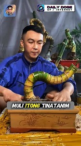 708K views · 11K reactions | The art of bending bamboo #fblifestyle #nature #natureart | Wesley Denmark Fernandez Abbas | Facebook