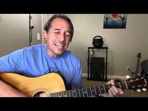 Mr. Brightside (Acoustic Cover)