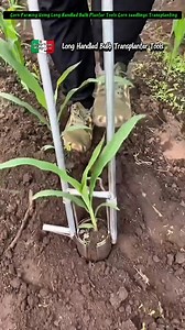 18 reactions · 11 comments | Agricultural Long Handled Bulb Transplanter Tools #highlight #Agricultural #Tools #transplanter | Efigenia Lustre | Facebook