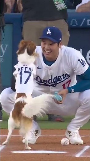 Shohei Ohtani’s dog delivers the first pitch ⚾ | #shorts