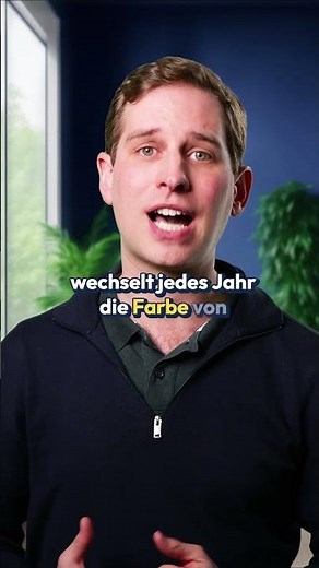 🛴 E-Scooter- und Mofabesitzer müssen zum 1.3. ihr Kennzeichen wechseln
