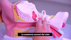 178 reactions · 12 shares | Serás un Médico General con capacidades,...