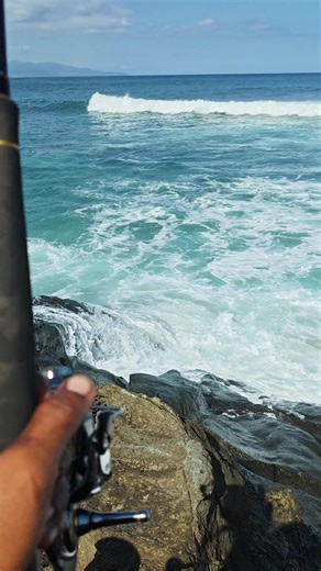 Umpan Dasar Ikan untuk Spot Mancing Sulit