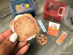 DIY Doll School Lunch