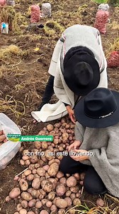 165K views · 4.1K reactions | ¿Y si te dijera que detrás de cada papa...