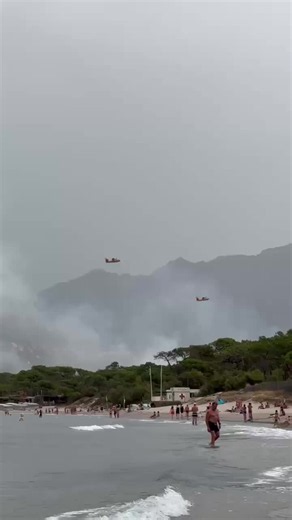 🔥 L'incendie de Calenzana en Haute-Corse se propage rapidement De nombreux moyens terrestres sont mobilisés avec l'appui de 2 Canadair et 1 Dash-8 __ 📸 Association PSFDF 🚫Évitez le secteur 🚒Facilitez l'accès aux secours #incendie #FeuxDeForêt #hautecorse2b