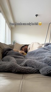 96K views · 8.4K reactions | The kind of love you can’t put into words ❤️ #dogs #puppylove #minicockapoo | Luna The Mini Cockapoo | Facebook