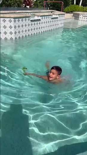 Son Catches A Lizard In The Pool 🦎