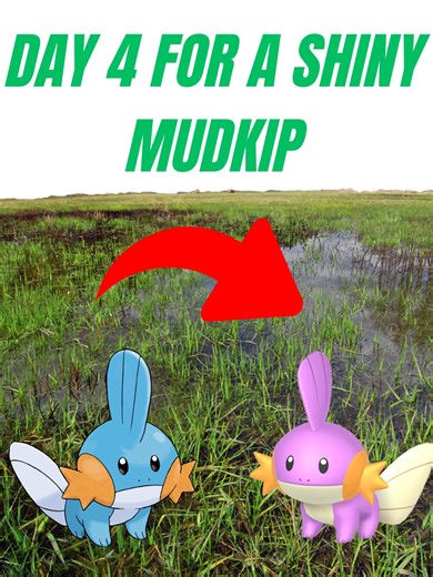 DAY 4 ! Let's hunt Mudkip on ruby GBA#pokémon #shiny #nintendo #gobou #mudkip