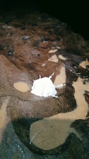 #cricket #cave #cavesandcliffs | CaveGoose | Facebook