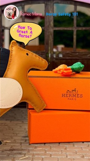 HERMES | Greet A Horse The Right Way | Hermes Rodeo｜ Horse Safety 101 #hermes #schleich #馬房 #馬主 #愛馬仕