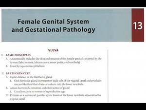 Female genital system and gestational pathology