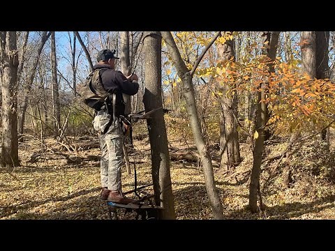 Lone Wolf Assault Hand Climber Combo: Extended Review!