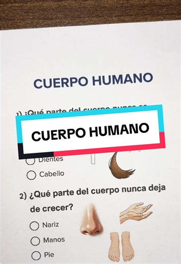 CUERPO HUMANO 🤔👅 #quiz #cuerpohumano #humanbody #preguntasyrespuestas #quizchallenge