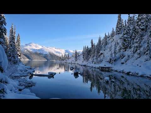 Fortnite Bullet Road!