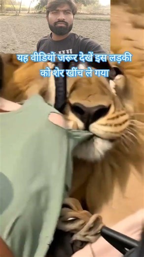 जंगल में जाते समय सावधान रहे यह वीडियो जरूर देखें