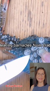 5.1K views · 65 reactions | Not removing barnacles on crabs before cooking dont make the crabs unsafe for eating #information #barnacles #fblifestyle | Wylynda Ilagan | Facebook
