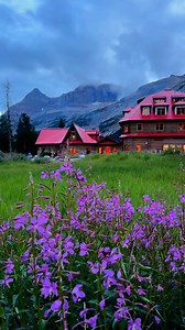 120K views · 839 reactions | TIPS FOR DRIVING THE ICEFIELDS PARKWAY FROM BANFF TO JASPER | The Banff Blog | Facebook