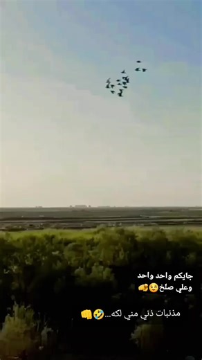 #لايك #متابعه #الحب_لايفهم_الكلام #تعبتتتتتتتتتتتتتتتتتتتتتتتتتتتتتت💔 #CapCut