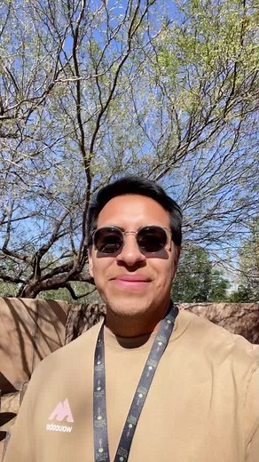 Exploring the Interior of a Saguaro Cactus