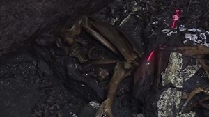 Thousands of Aztec offerings found below Mexico City