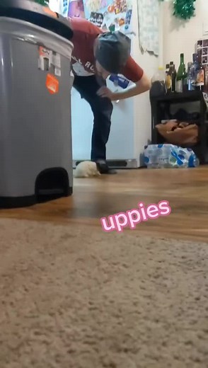 Rattok Uppies TikTok | Love My Life UPY Dance Compilation