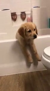 28K views · 630 reactions | He's stuck!  Morning cutness overload  | boohoo.com | Facebook