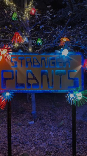 145 reactions · 28 shares | Discover Stranger Plants, an exhibition of the most unusual, out-of-this-world plants imagined and created for The Ramble. Learn more about the fall exhibit and reserve your tickets for Glowing Wild: https://bit.ly/47HTreZ Video: Clips of the plant displays at night with a voiceover talking about the exhibition and a highlight of one of the plants. | New England Botanic Garden at Tower Hill | Facebook
