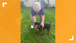 Animal sanctuary helps place aging pets with Hoosier seniors
