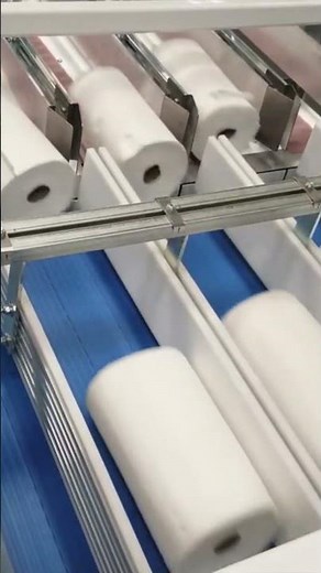 Vertical Diverter | Divert Multiple Products from 1 lane to 2 lanes #diverter #laner #shorts