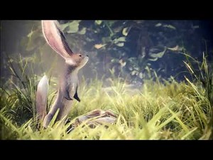 【MHW】エンディングムービー　ラスボス攻略後から【モンスターハンターワールド】