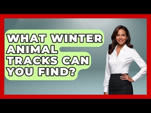 What Winter Animal Tracks Can You Find? - Seasonal Living Guide