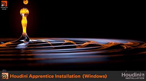 HOUDINI APPRENTICE LICENSING | WINDOWS