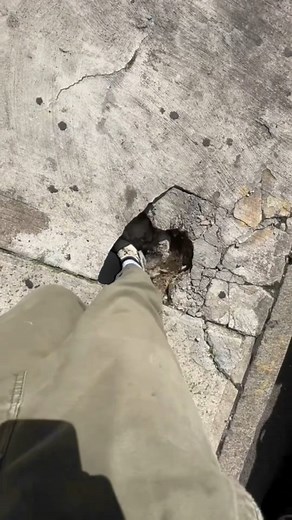 A whole world of affordable IT, ready for you to explore ✨️ #SmartSavings #SustainableTech #NationwideDelivery #RefurbSA #QualityChecked | Refurb. SA - Making PC's Affordable for All | Facebook