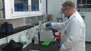 Optimized PCR-based Detection of Mycoplasma