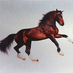 [Hot Item] UV Printing 3mm 4mm Acm Sign Board Panels Advertising Boards