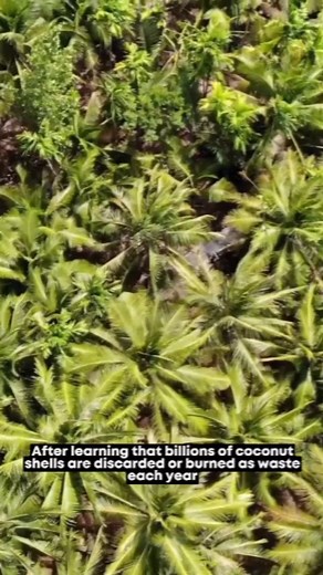 ✨ Embark on a journey from tree to table with our reimagined waste coconut shells transformed into sustainable Coconut Bowls!🥥💕 ☝️ We've discovered not only a way to repurpose coconut shells but also a path to create a positive ripple effect in the lives of local coconut farmers and artisans.🙌 🌴 Every Coconut Bowl purchase is a conscious choice that transcends mere utility. It's a commitment to sustainability, a vote for ethical practices, and a delicious step towards making a difference. 🖐