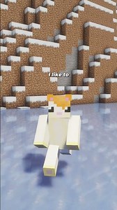 The SECRET Room In The Minecraft Igloo