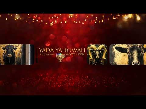 Father and Son~Then Came Religion | Messiah and Son Episode Twelve