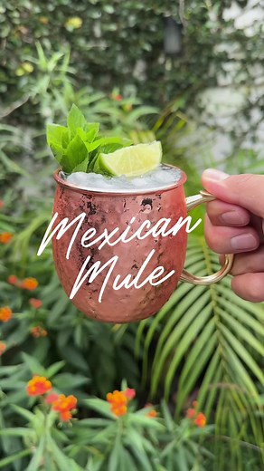 Mexican Mule Cocktail Recipe with Tequila and Ginger Beer