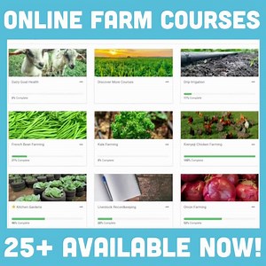 16 reactions |  ONLINE FARMING COURSES  eLengo provides online...