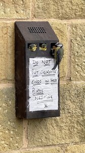 Look at these adorable residents at Kettlesing Hall at the moment 😍🥹 Video by • @physioelise #babybirds #springwatch #birdwatching | Daily Bird Show
