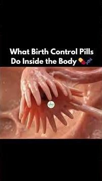 How Birth Control Pills Actually Work Inside The Body 💊🧬